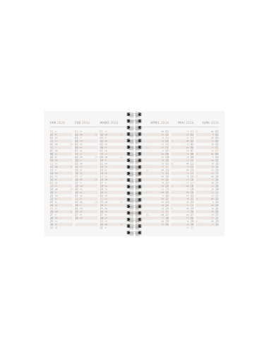 2026 A6 CHERRY 12 MÅN