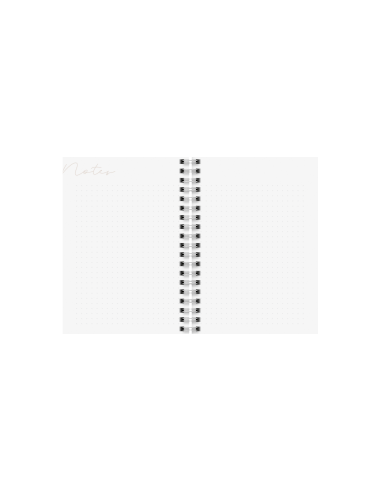 2026 A6 CHERRY 12 MÅN