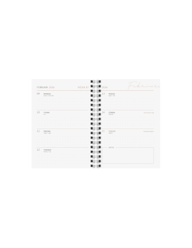 2026 A6 CHERRY 12 MÅN