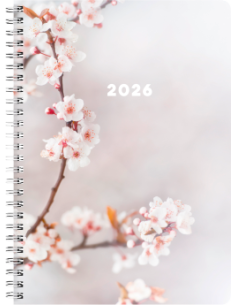 2026 A5 CHERRY 12 MÅN