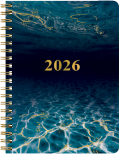 2026 A6 MINT 12 MÅN