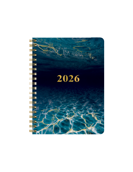 2026 A6 MINT 12 MÅN