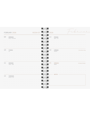 2026 A6 MINT 12 MÅN