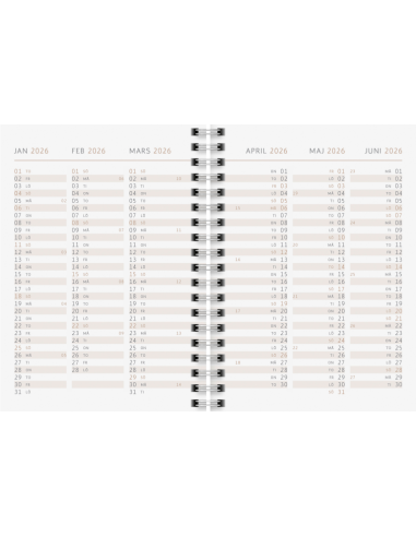 2026 A6 MINT 12 MÅN