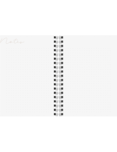 2026 A6 MINT 12 MÅN