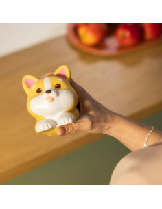 ANTISTRESS CORGI 2
