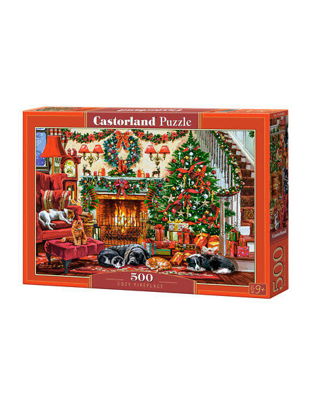 500B COZY FIREPLACE