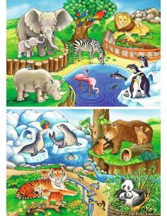 2X12B ANIMALS IN THE ZOO 2