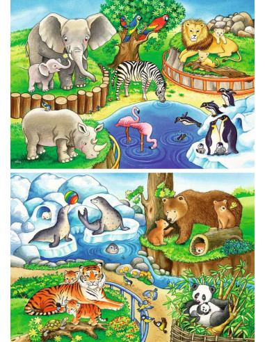 2X12B ANIMALS IN THE ZOO