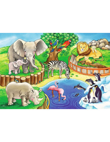 2X12B ANIMALS IN THE ZOO