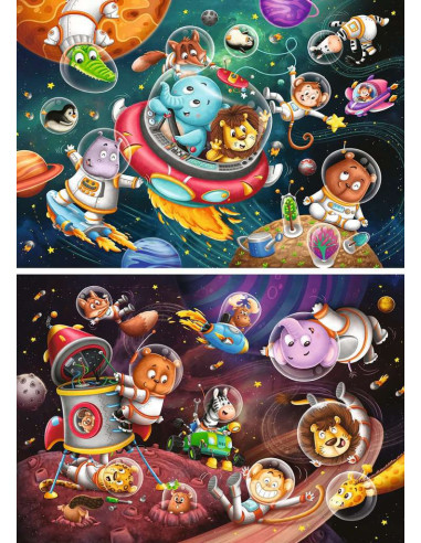 2X12B ANIMALS IN SPACE