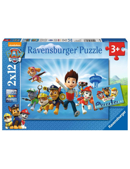 2X12B PAW PATROL