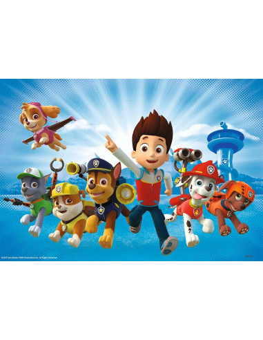 2X12B PAW PATROL