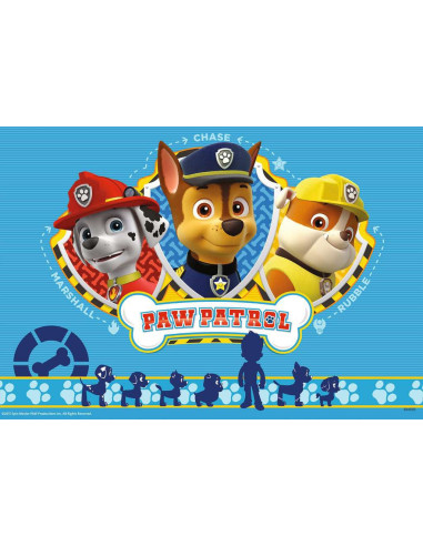 2X12B PAW PATROL