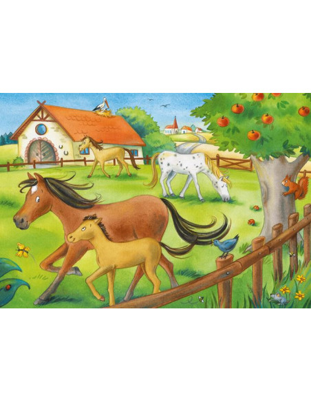 2X12B HAPPY DAYS AT THE STABLES