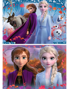 2X12B FROZEN 2 2