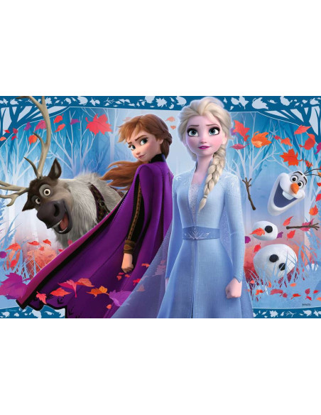 2X12B FROZEN 2