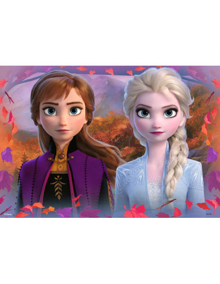 2X12B FROZEN 2