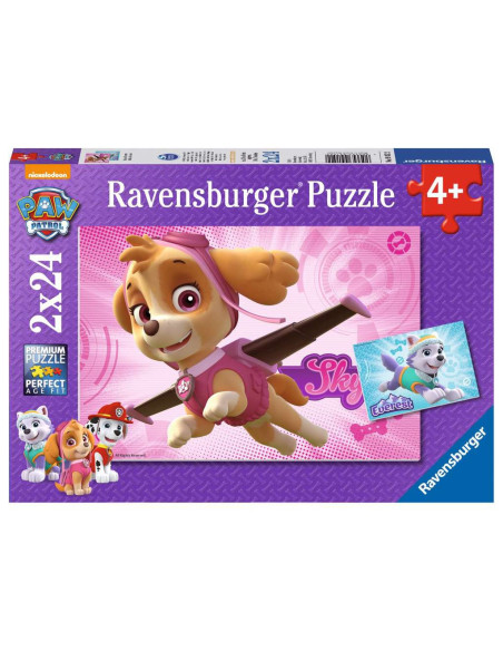 2X24B PAW PATROL SKYE EVEREST