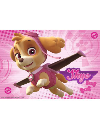 2X24B PAW PATROL SKYE EVEREST
