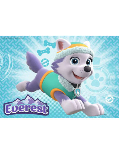 2X24B PAW PATROL SKYE EVEREST