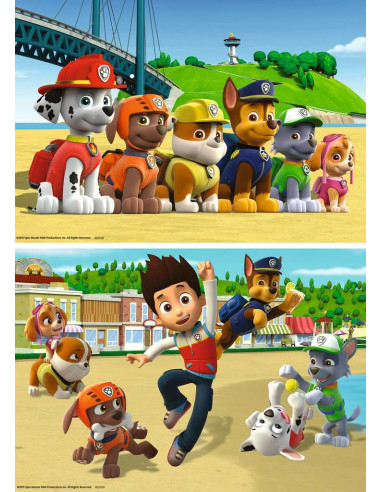 2X24B PAW PATROL