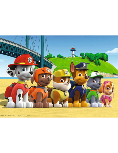 2X24B PAW PATROL