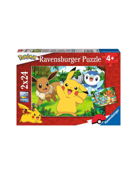 2X24B POKEMON