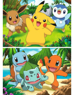 2X24B POKEMON 2