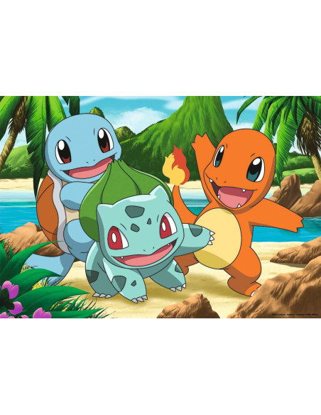 2X24B POKEMON