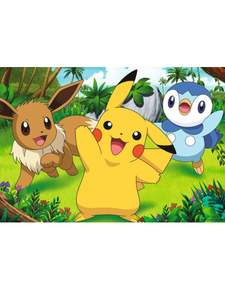 2X24B POKEMON