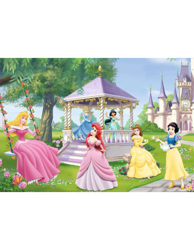2X24B ENCHANTING PRINCESSES