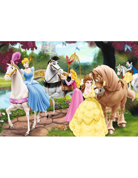 2X24B ENCHANTING PRINCESSES