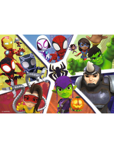 2X24B SPIDEY AND FRIENDS