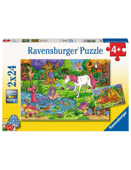 2X24B MAGICAL FOREST