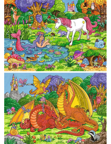 2X24B MAGICAL FOREST