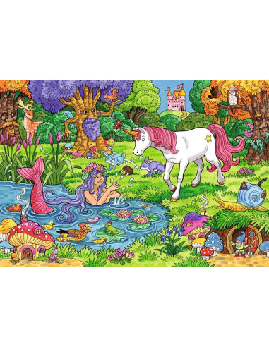 2X24B MAGICAL FOREST