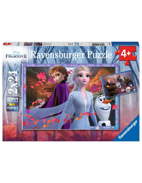 2X24B FROZEN 2
