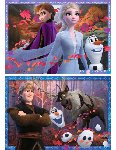 2X24B FROZEN 2