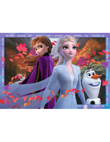 2X24B FROZEN 2