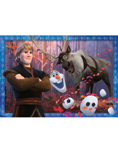 2X24B FROZEN 2