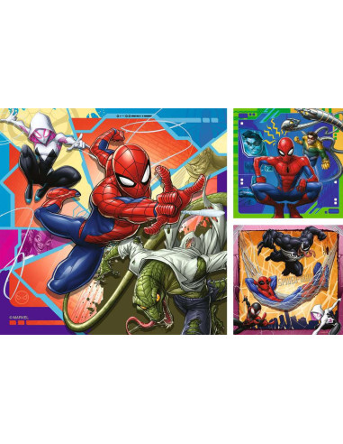 3X49B MARVEL SPIDERMAN