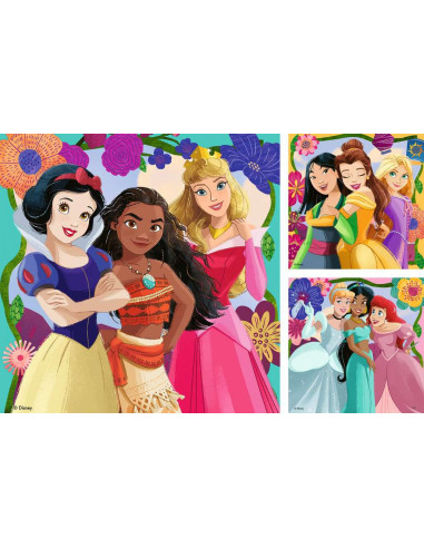 3X49B DISNEY PRINCESS