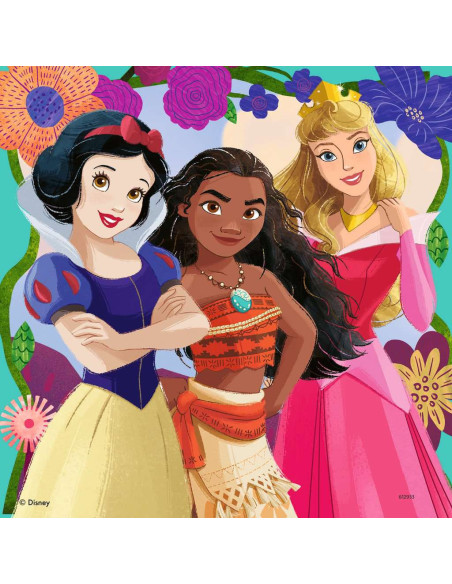 3X49B DISNEY PRINCESS