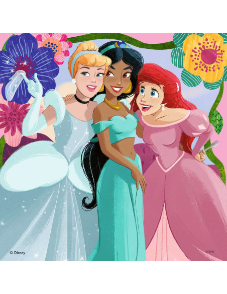 3X49B DISNEY PRINCESS