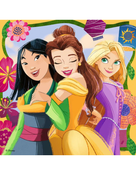 3X49B DISNEY PRINCESS