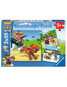 3X49B PAW PATROL