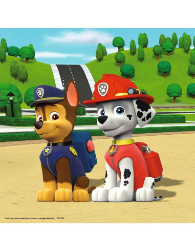 3X49B PAW PATROL