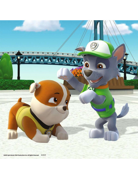 3X49B PAW PATROL