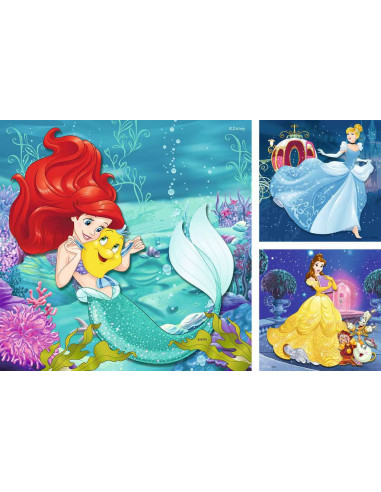 3X49B PRINCESSES ADVENTURES